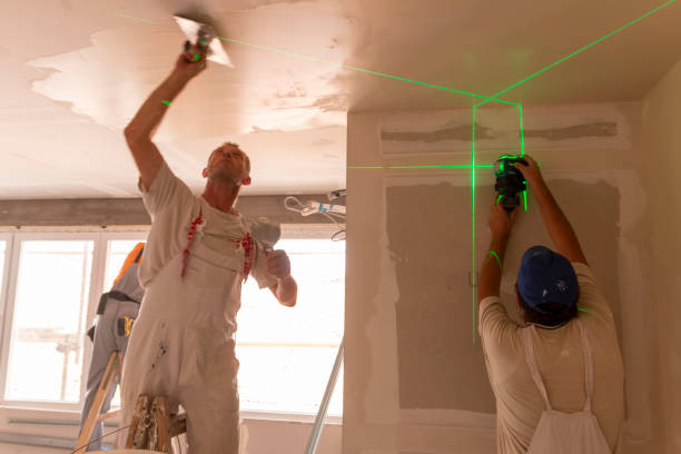 Best Basement Mold Removal  in Navy Yard City, WA